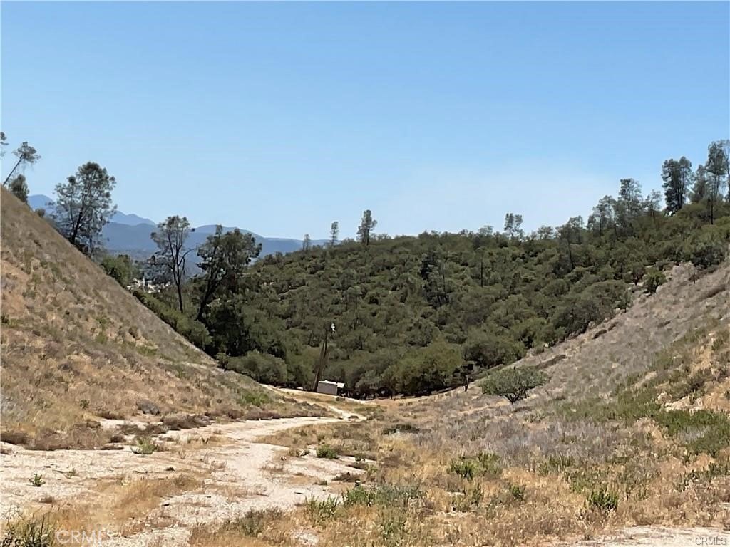 Picture 19