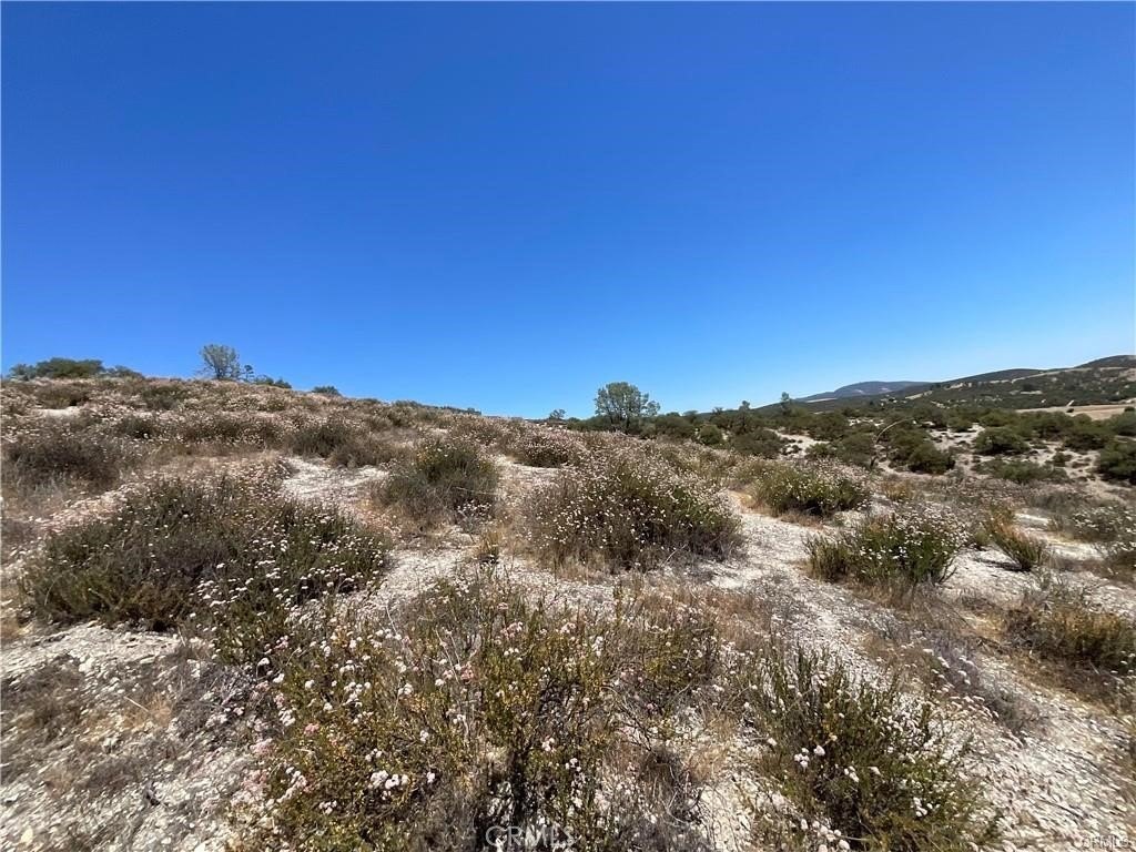 Picture 23