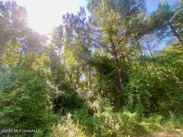 Picture 7