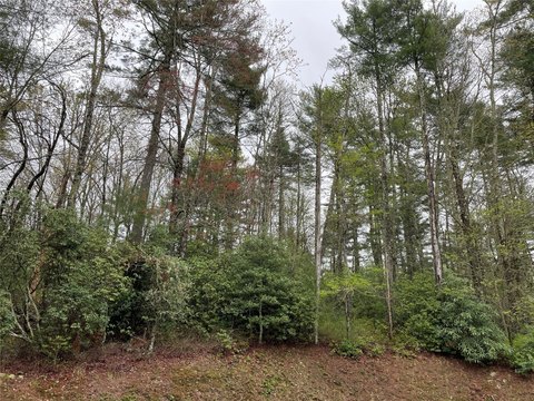 Land in Gated Sapphire Community