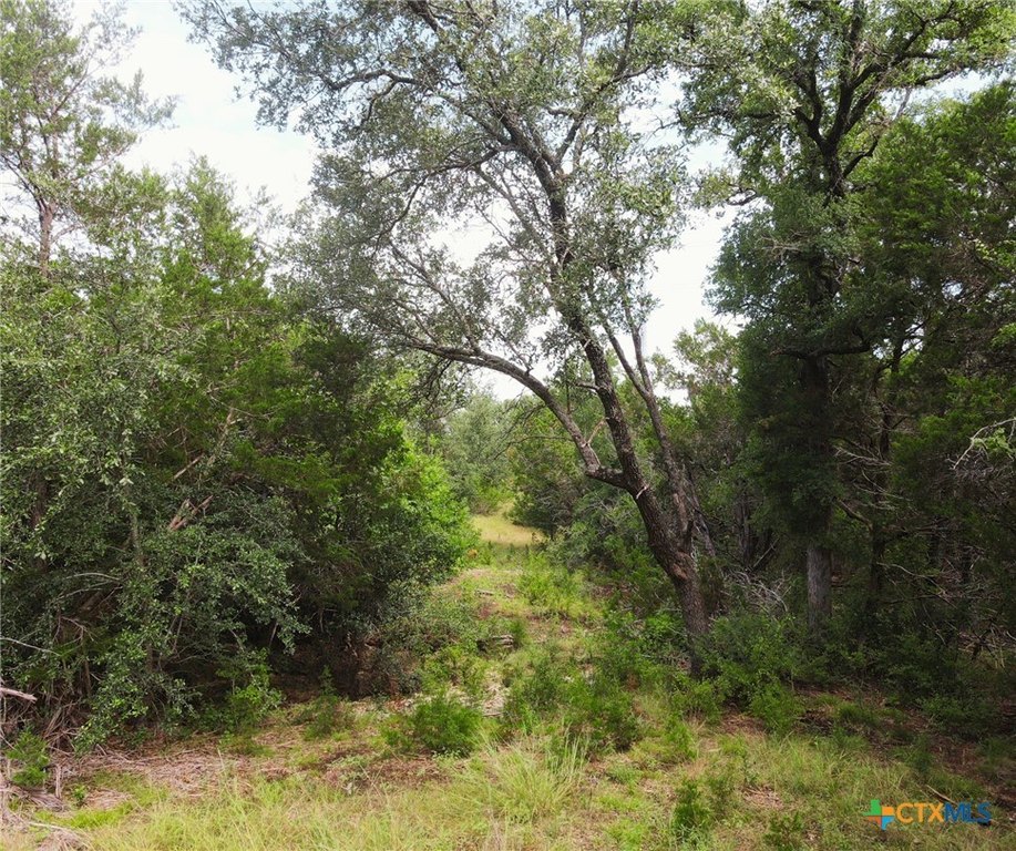 Picture 16