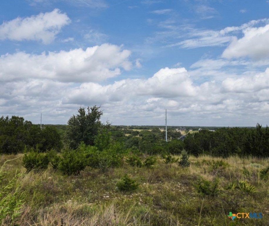Picture 30