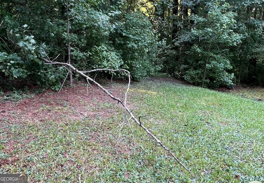 Picture 3