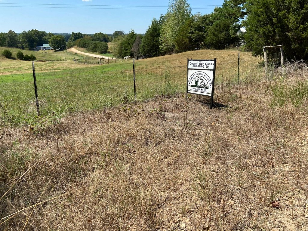 Picture 19