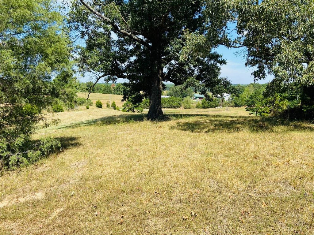 Picture 21