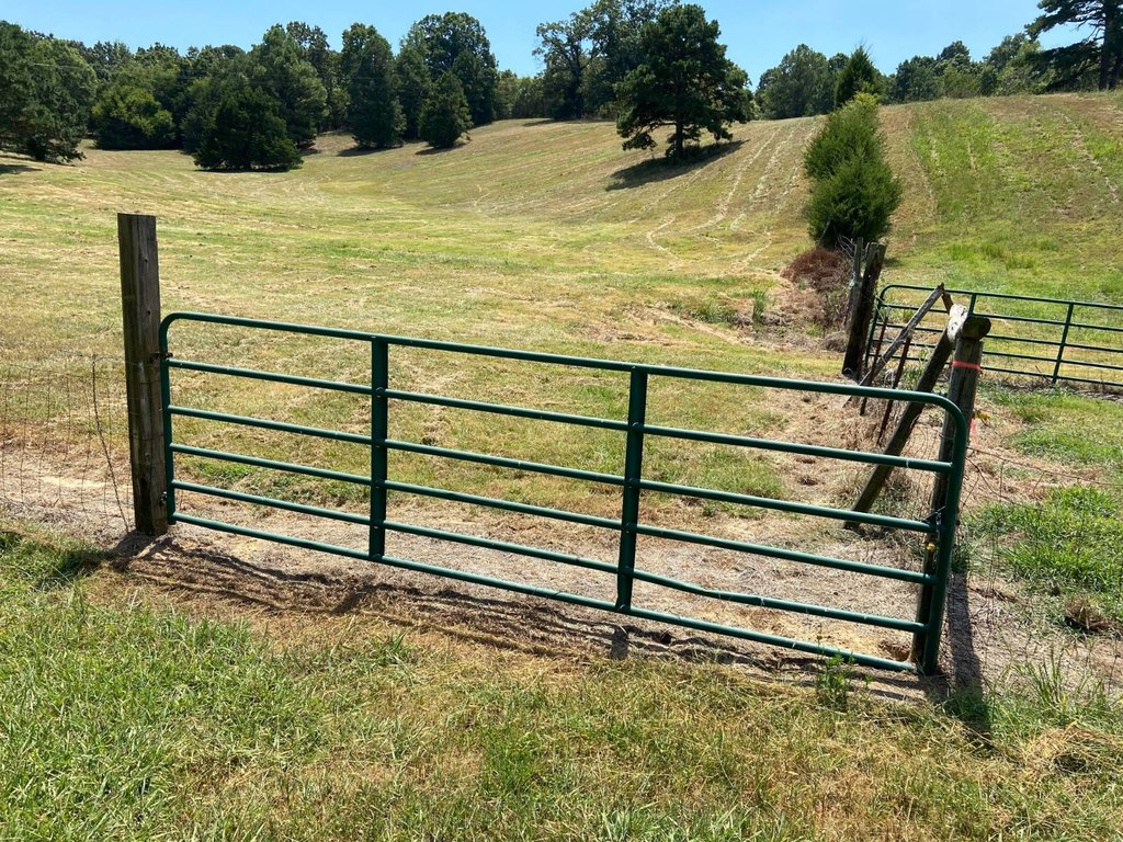 Picture 10