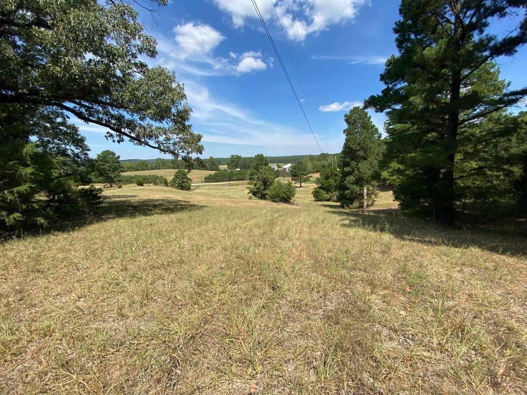 Picture 7