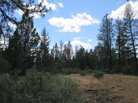 Land, Sprague River, OR