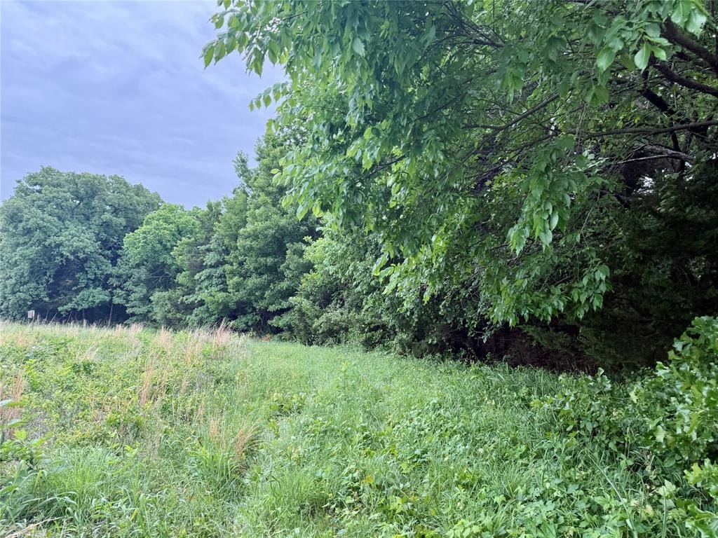 Picture 27