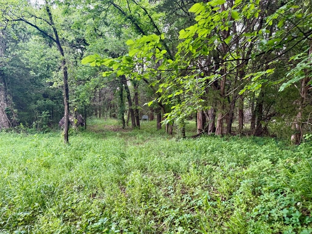 Picture 33