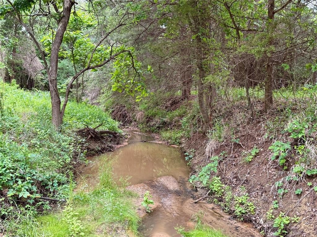 Picture 18