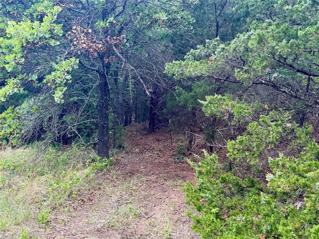 Picture 22