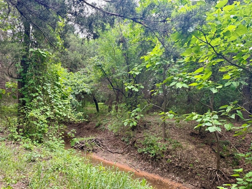 Picture 25