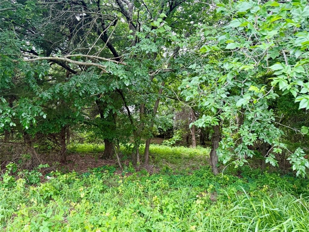 Picture 28