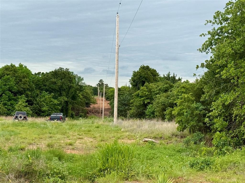 Picture 39
