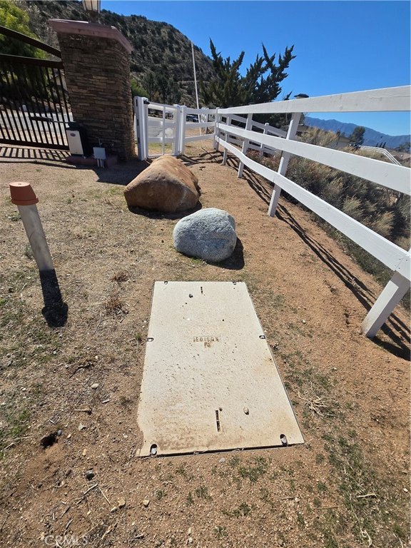Picture 11