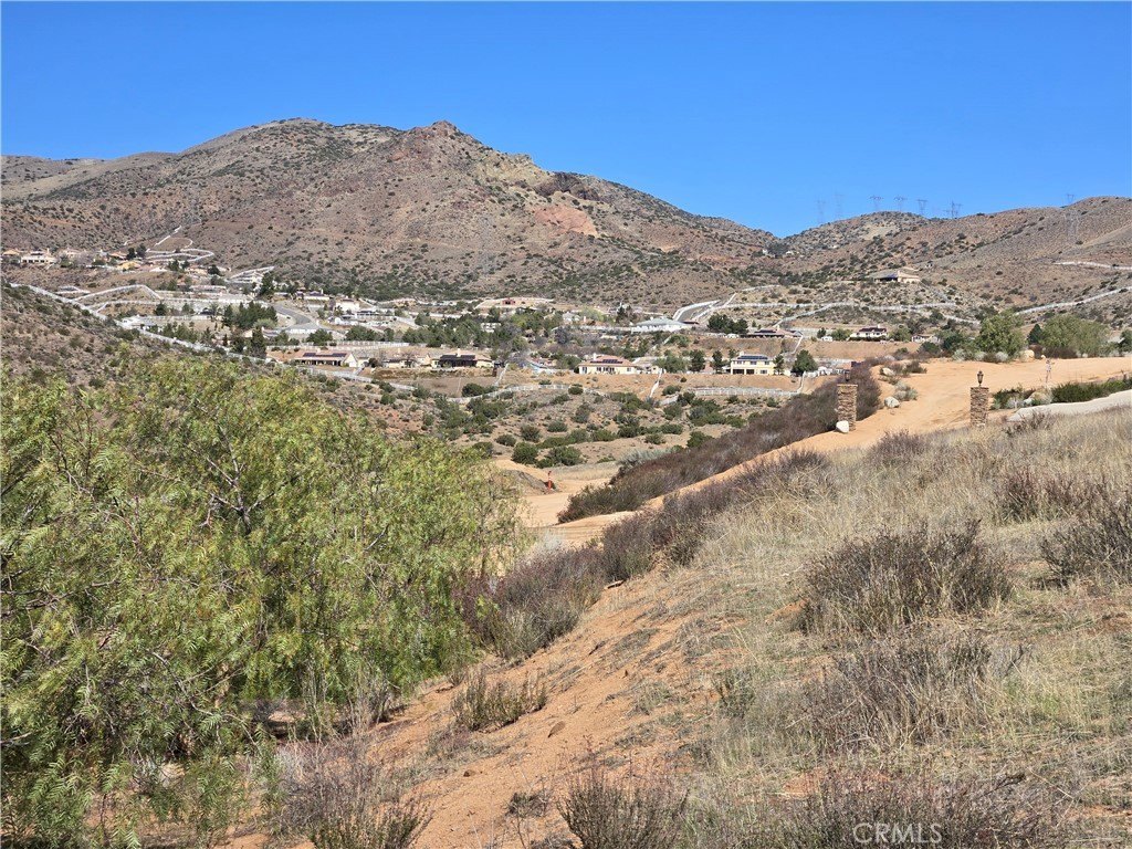 Picture 10