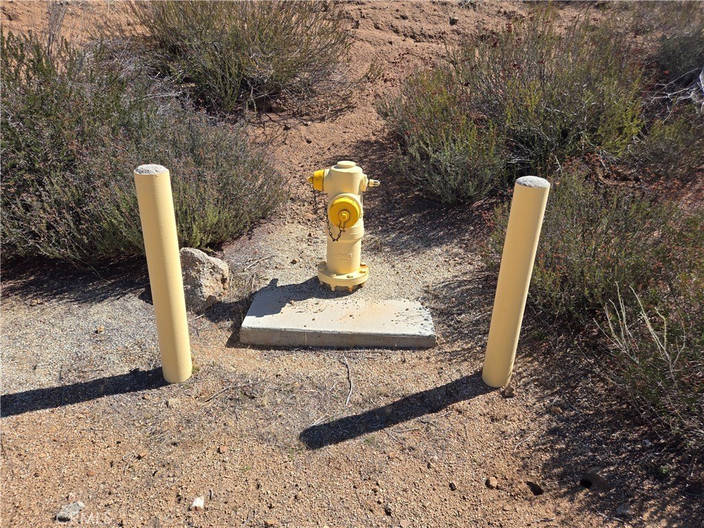 Picture 16