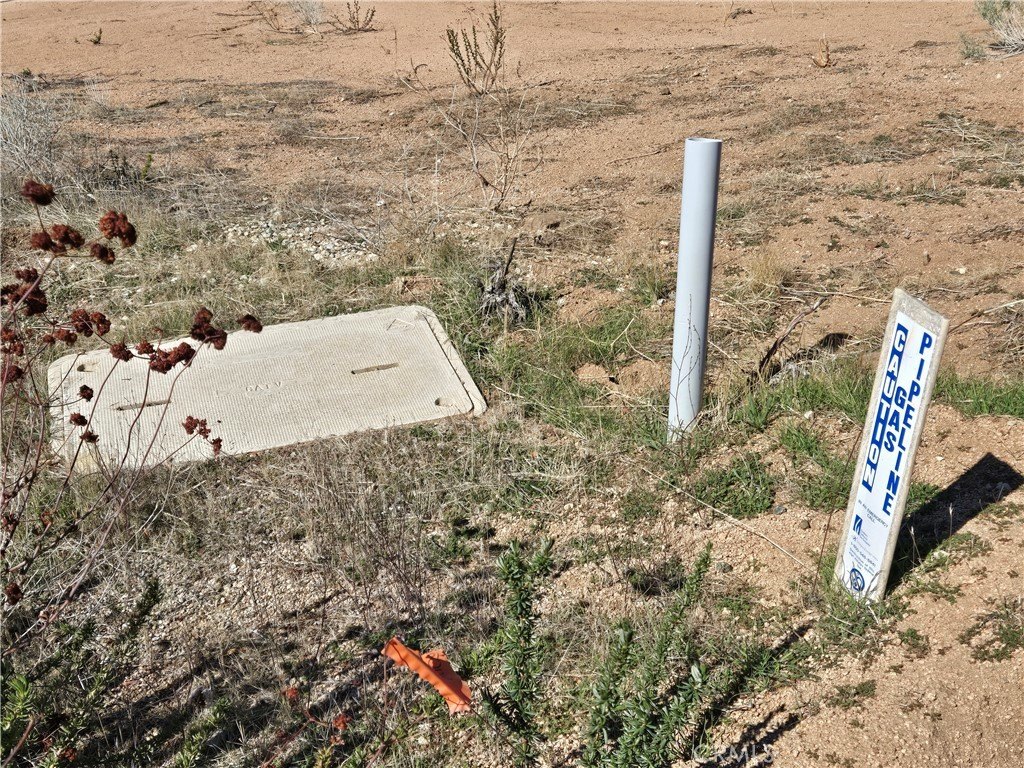 Picture 18