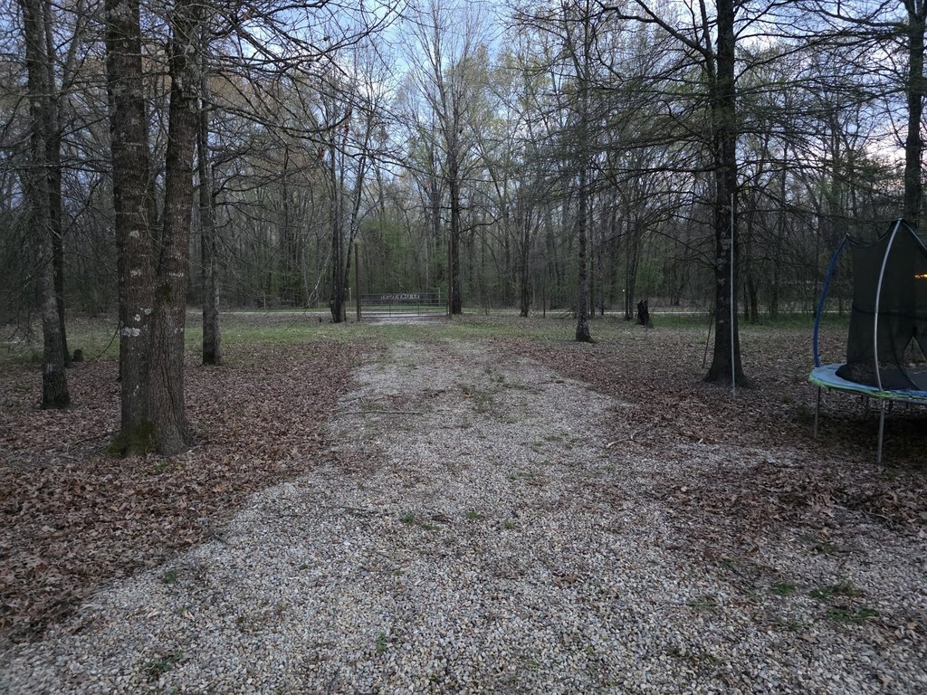 Picture 3