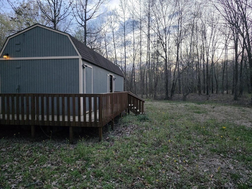 Picture 5