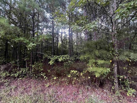 8+ Acres in White Hall