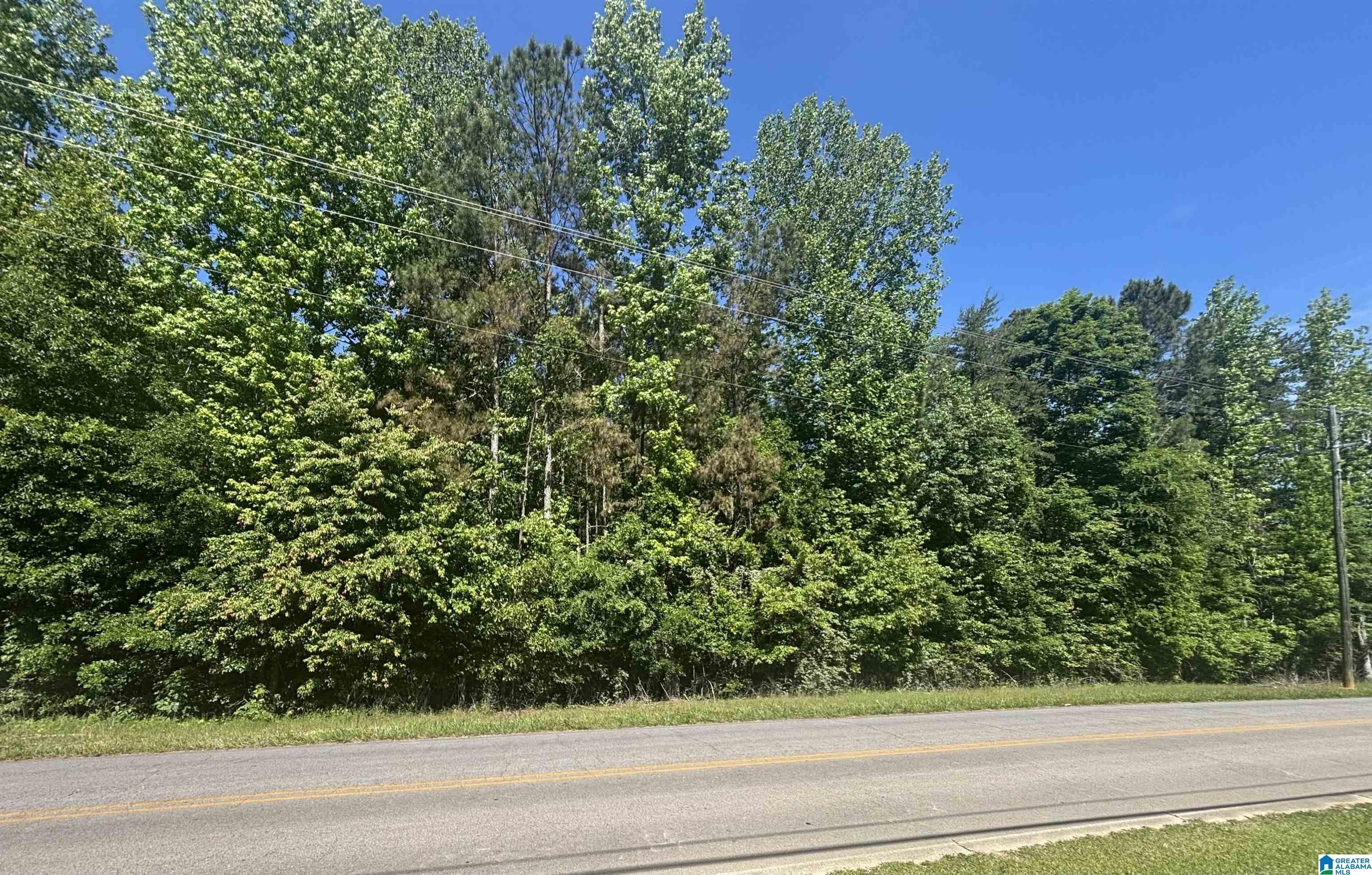 Residential Land in Oneonta, AL