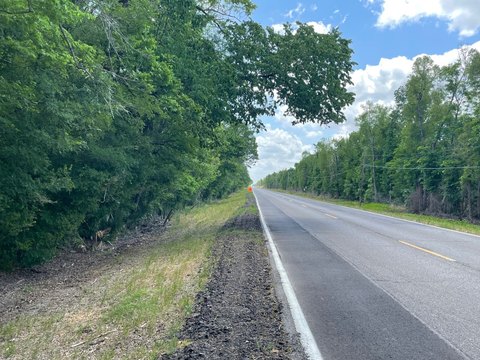 Wooded Acreage with Flexible Build Options
