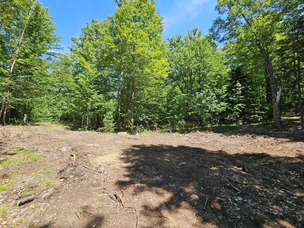 Picture 8