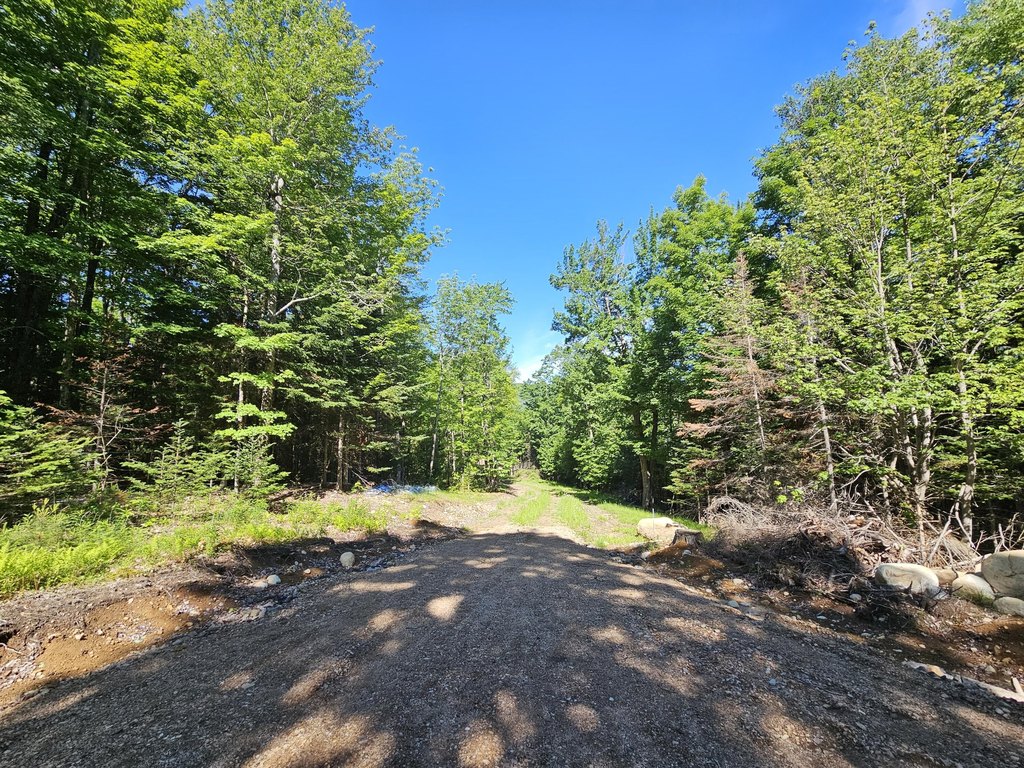 Picture 8
