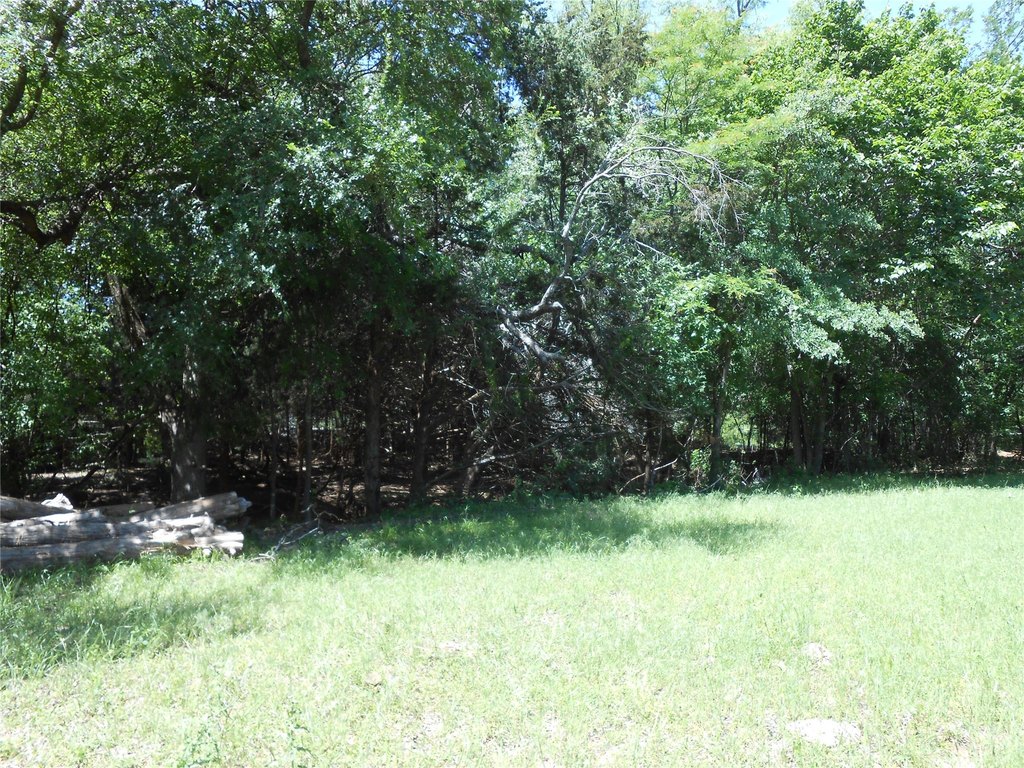 Picture 9