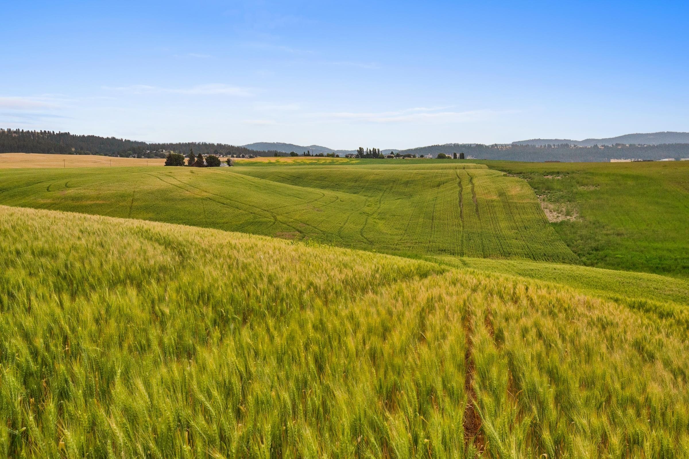 Spokane Land with New Well