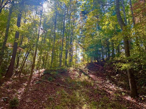 Ellijay, GA Vacant Lot