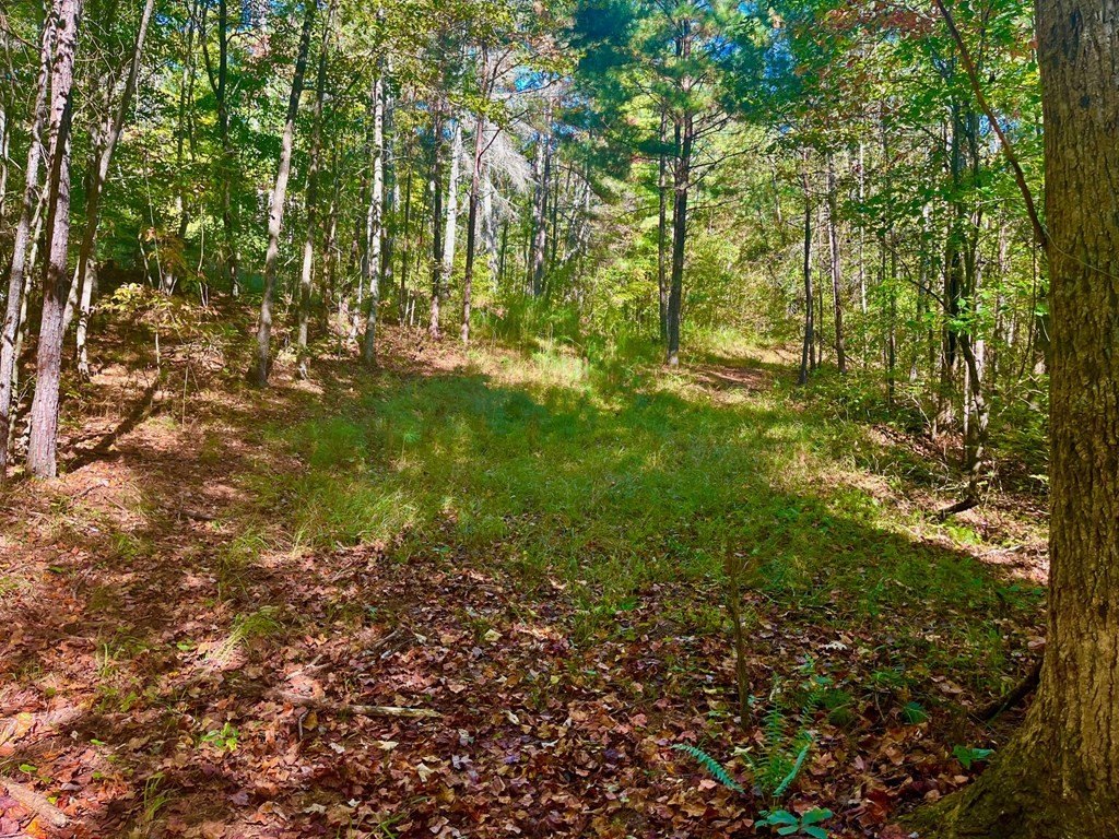 Picture 23
