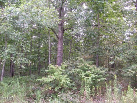Lots & Acreage, Crossville, TN