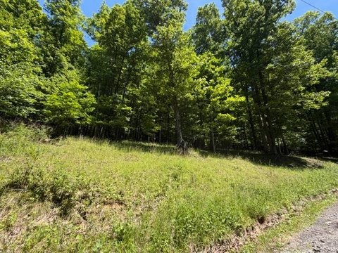LAND - Buckhannon, WV