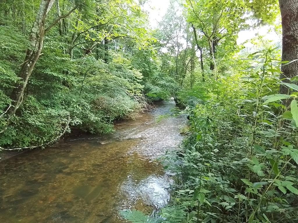 Unrestricted Land with North Shoal Creek