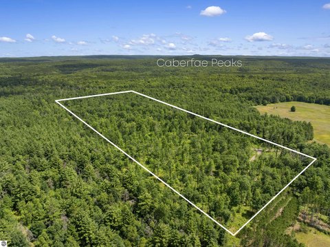 Vacant Lot/Land, Wellston, MI