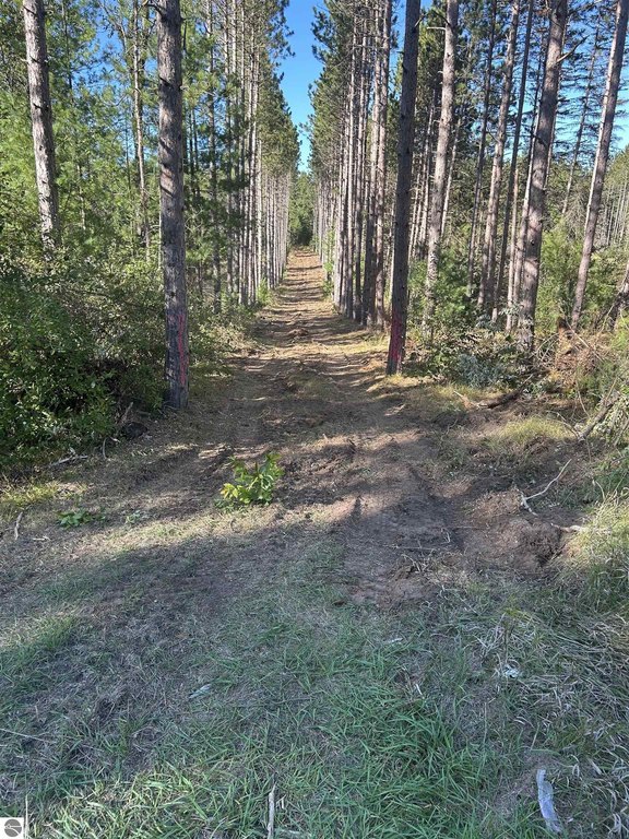 Picture 18