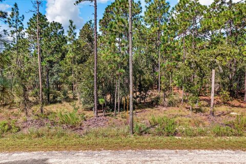Buildable Acre Lot