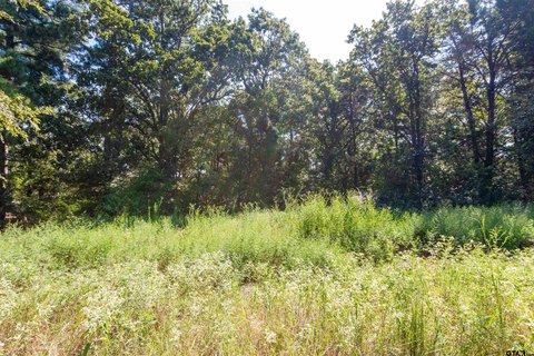 Winona, TX Rural Acreage