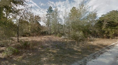 Spacious Lot Near Bronson, Florida