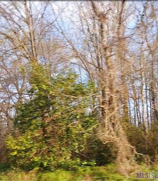 Land, Baton Rouge, LA