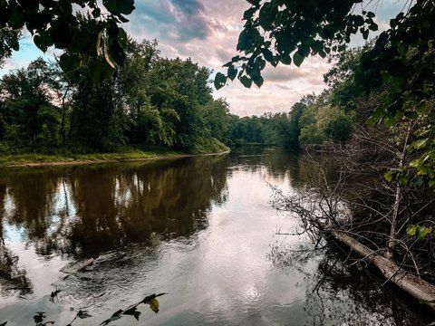Land, Evart, MI