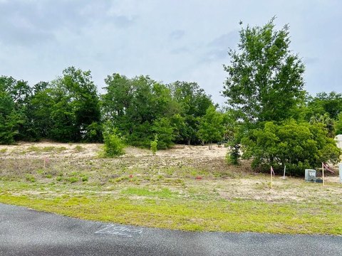 Apalachicola River View Lot