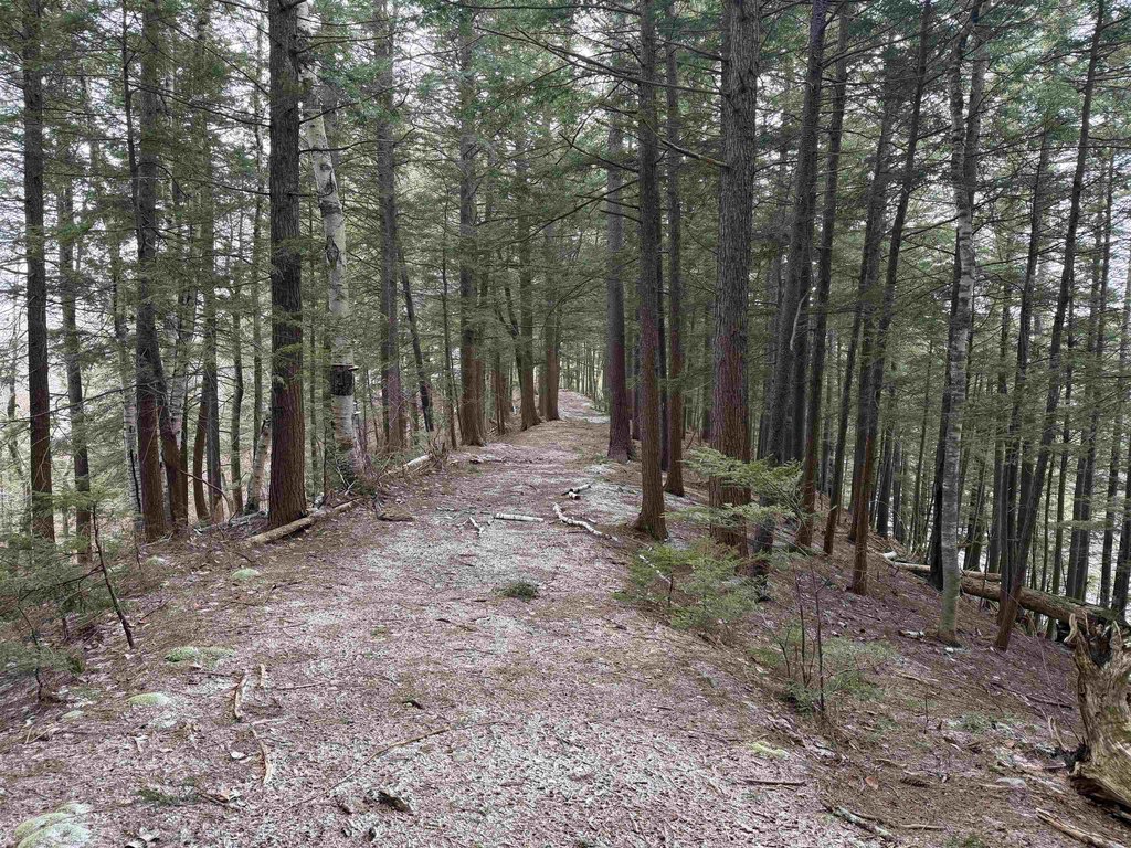 Picture 21