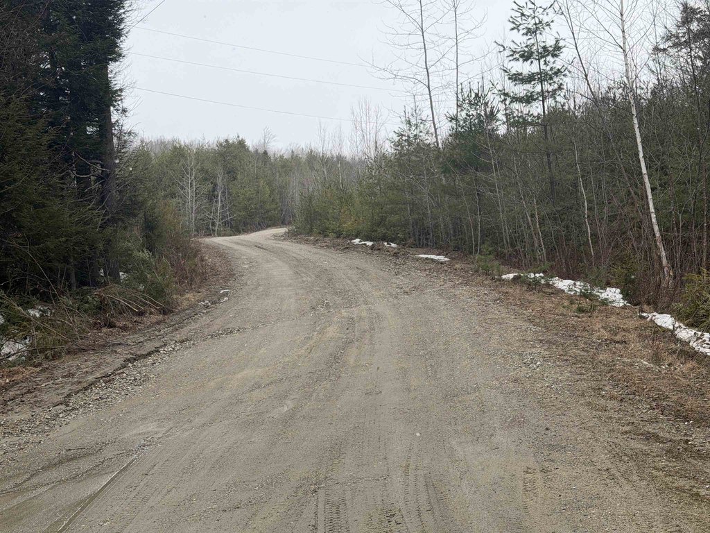 Picture 18