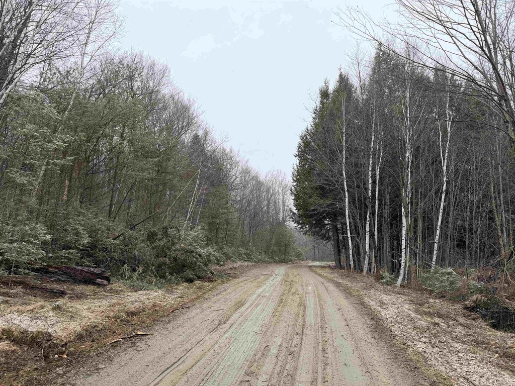 Picture 19