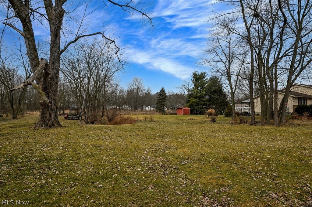 Picture 19