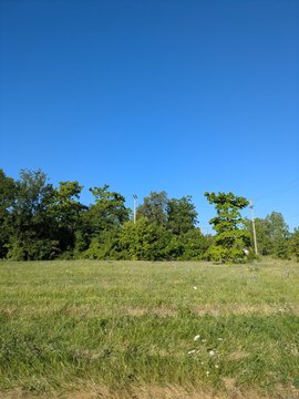 LAND - Detroit, MI